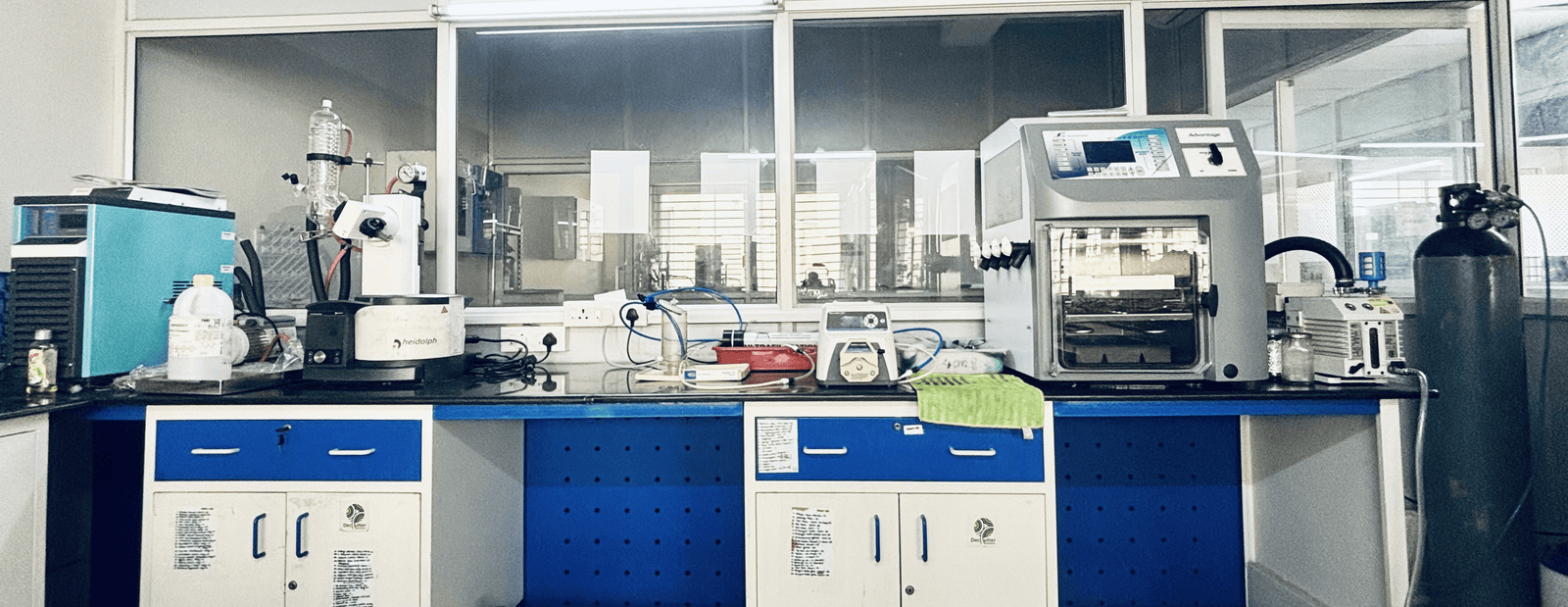 Process Development & Scale Up